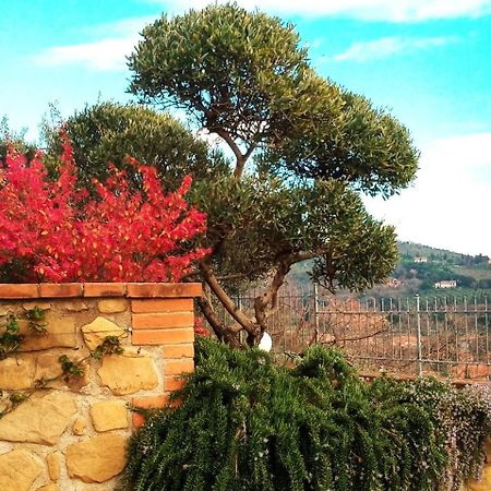 Olivo Bonsai Hotel Passignano sul Trasimeno Eksteriør billede